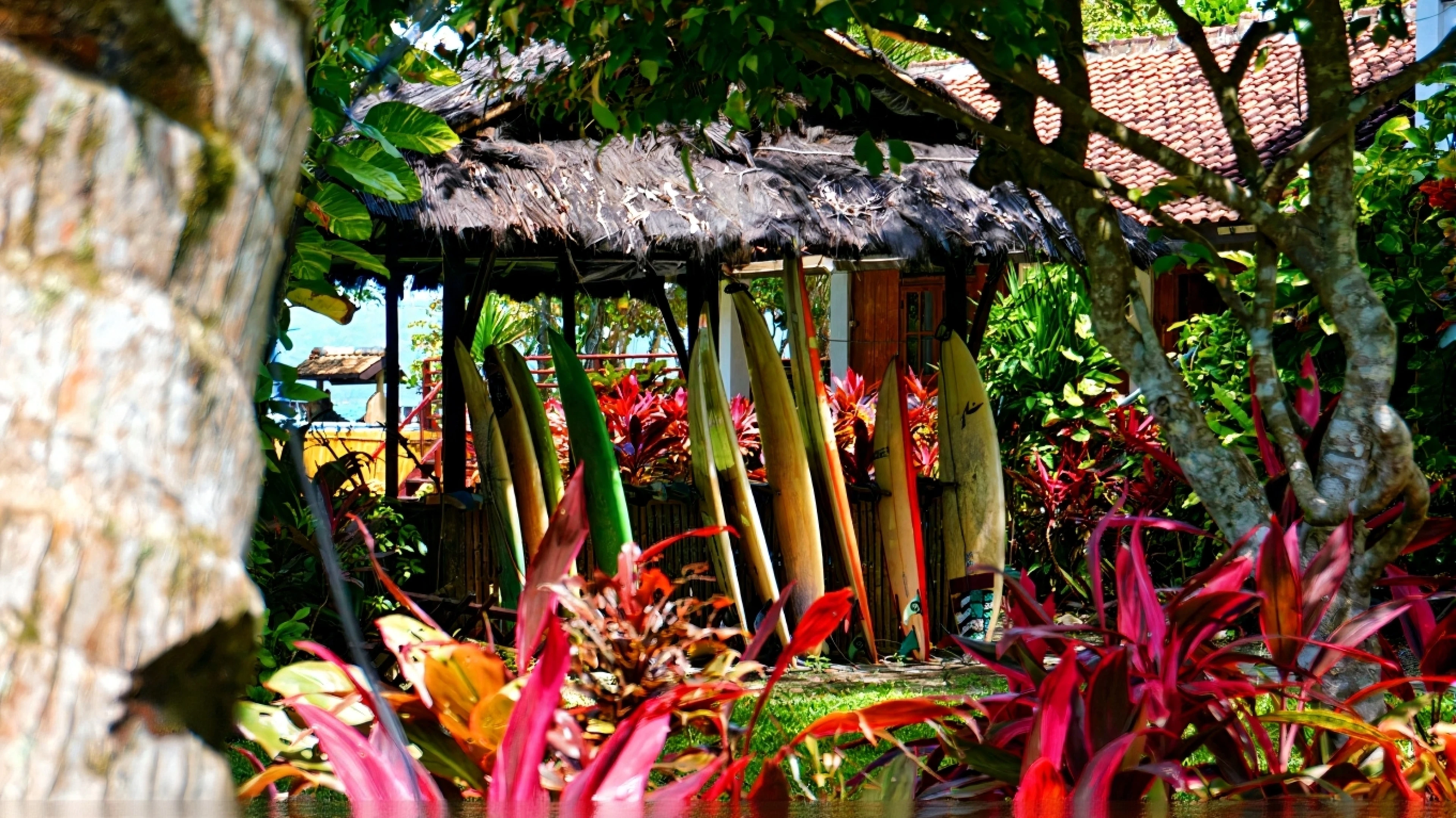 Tropical garden area at Krui Surf Camp